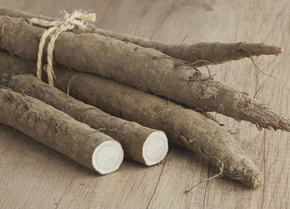 Burdock Root Triple Tincture