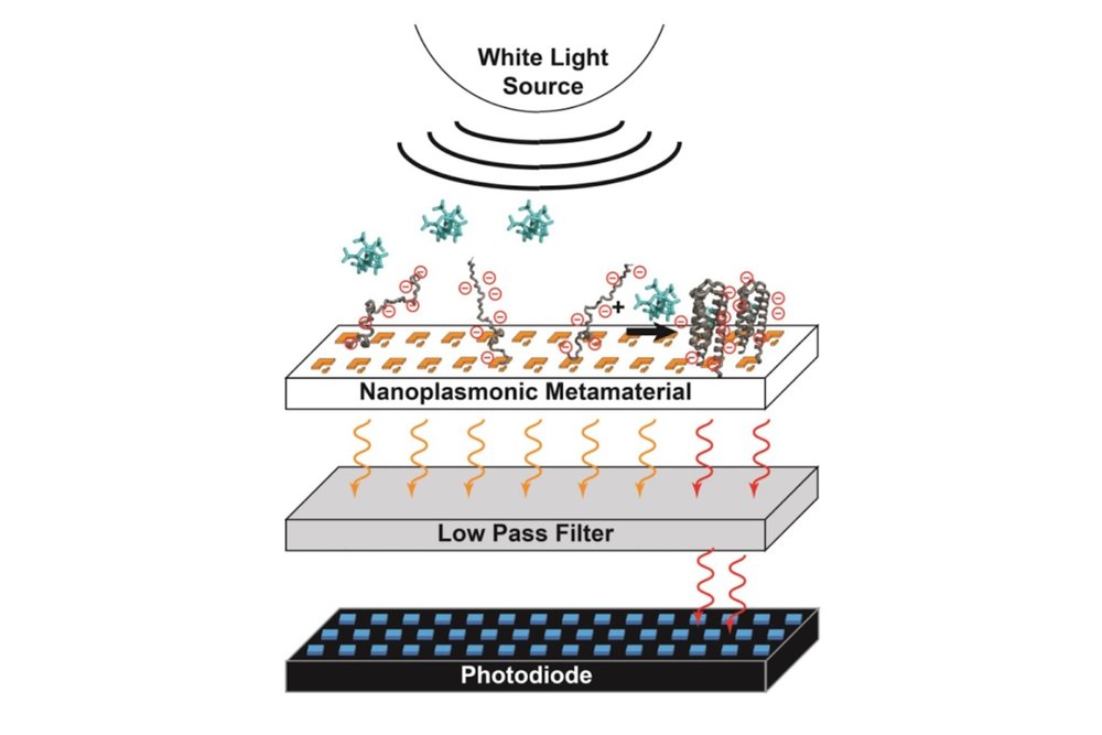 Research: Designed Sensors — Koder Lab