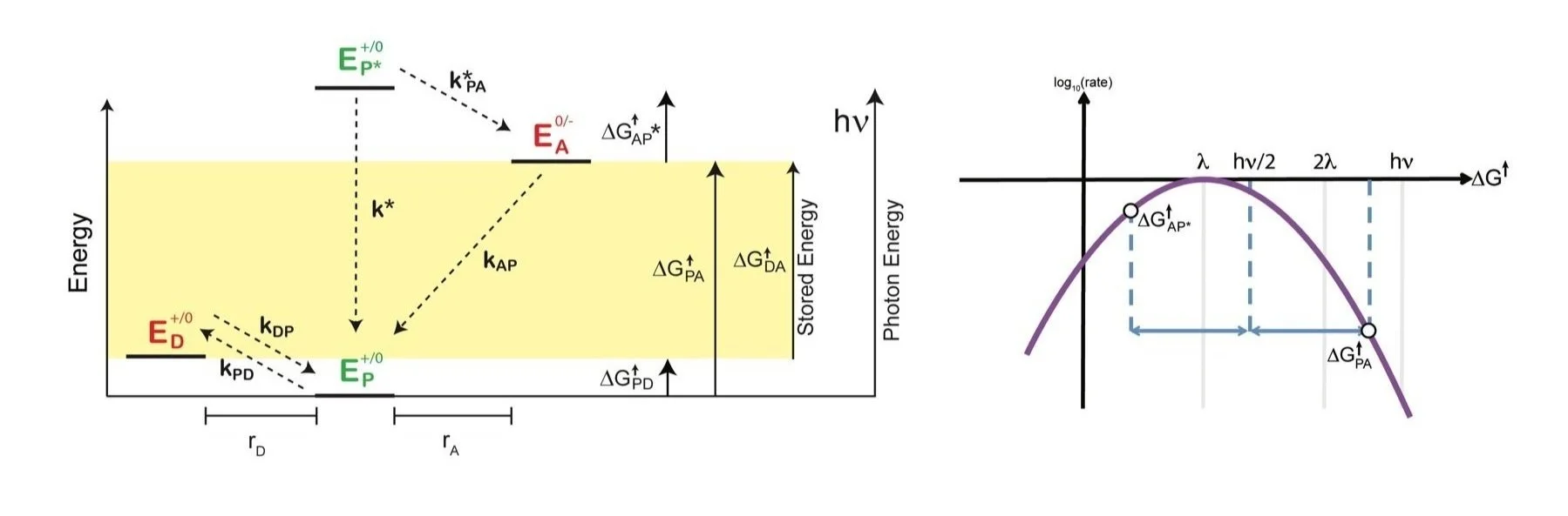 Research: Solar Biofuels — Koder Lab