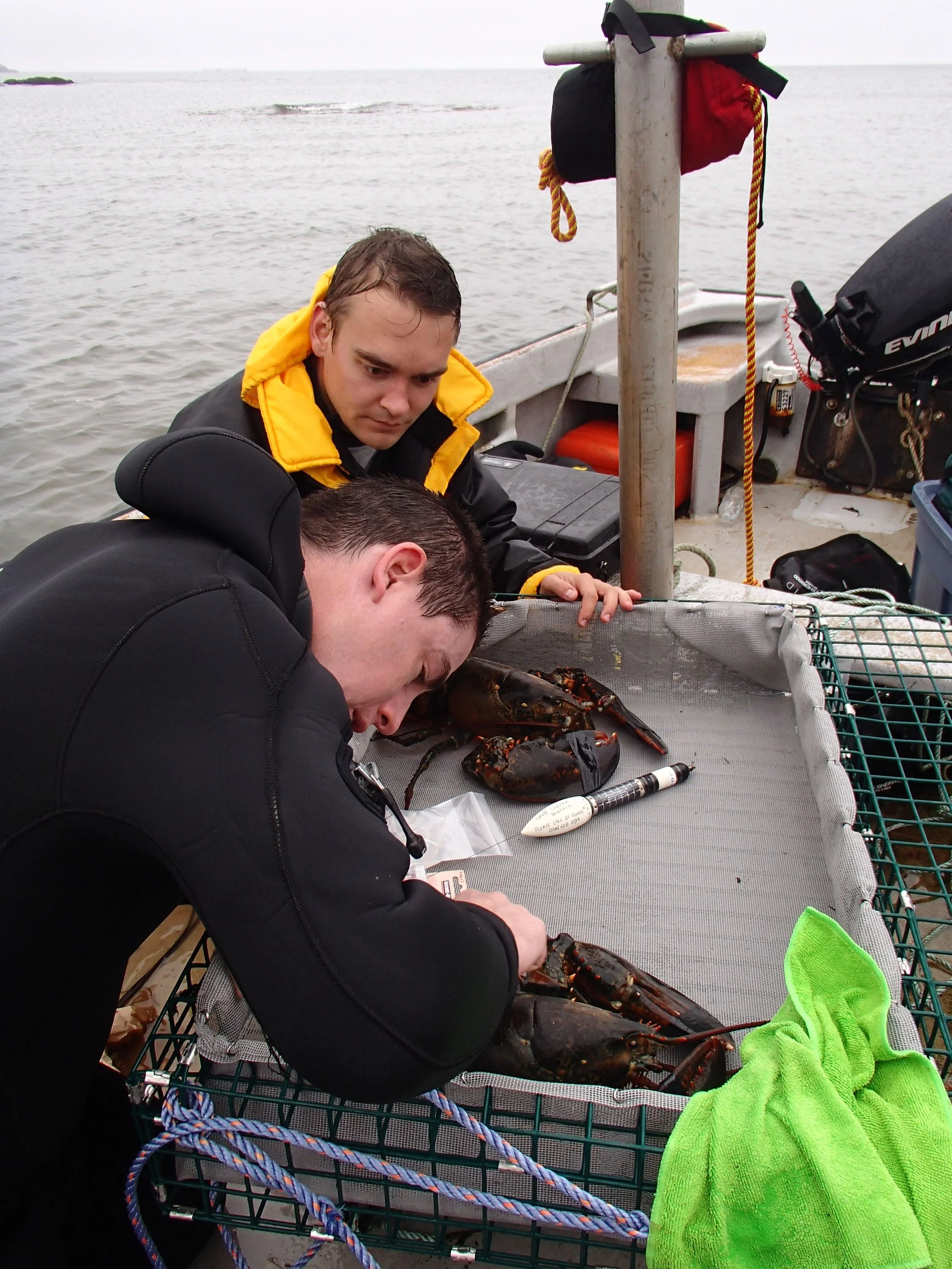 tagging in rain.jpeg