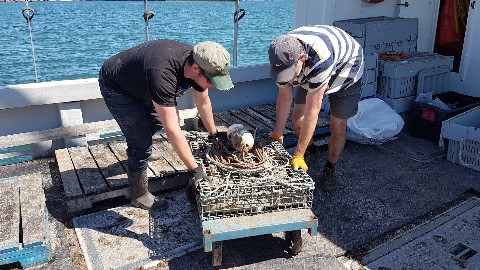 collector deploy.jpg