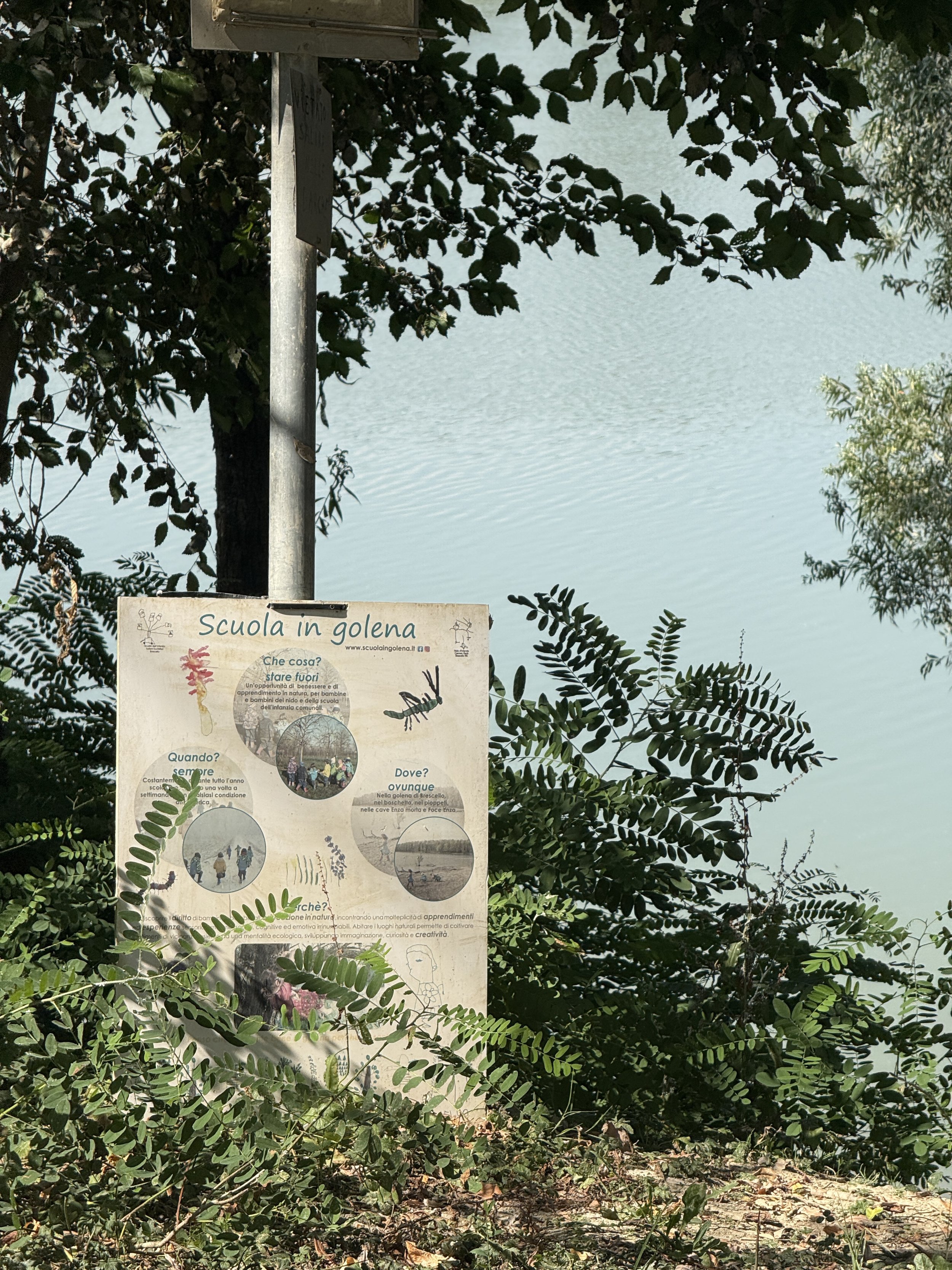 IMG_0331.jpeg