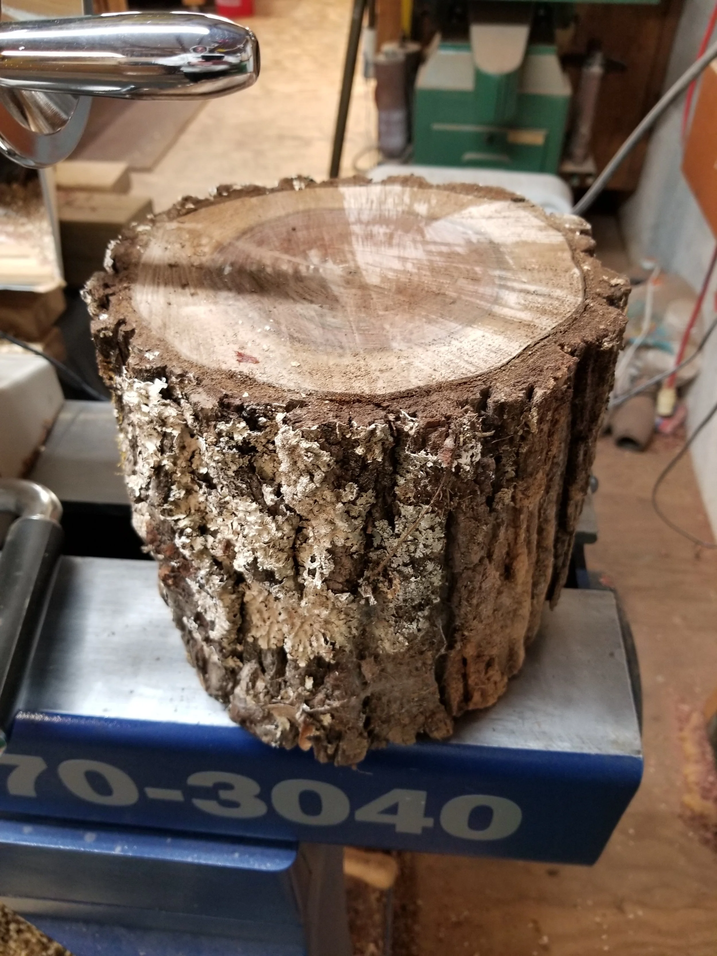 69a walnut.jpg