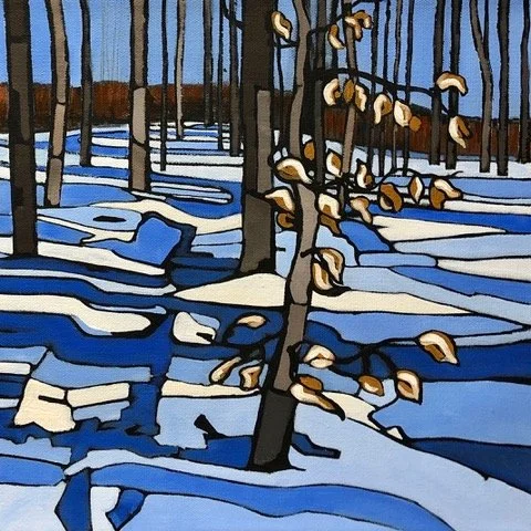W17 'West Wind',  Scenic Caves