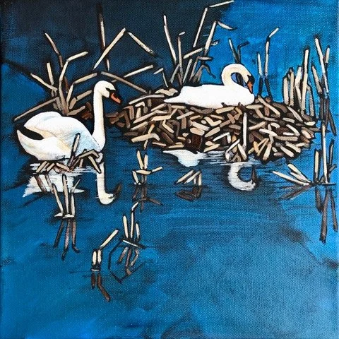 S6 'Swan Song' , Collingwood Harbour