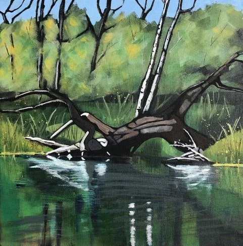S4 'The Nottawasaga River'