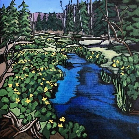 S14 'Marsh Marigolds',  Kolapore Forest