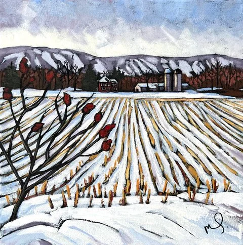 W20 'The 11th Line' , Collingwood
View to Blue Mountain