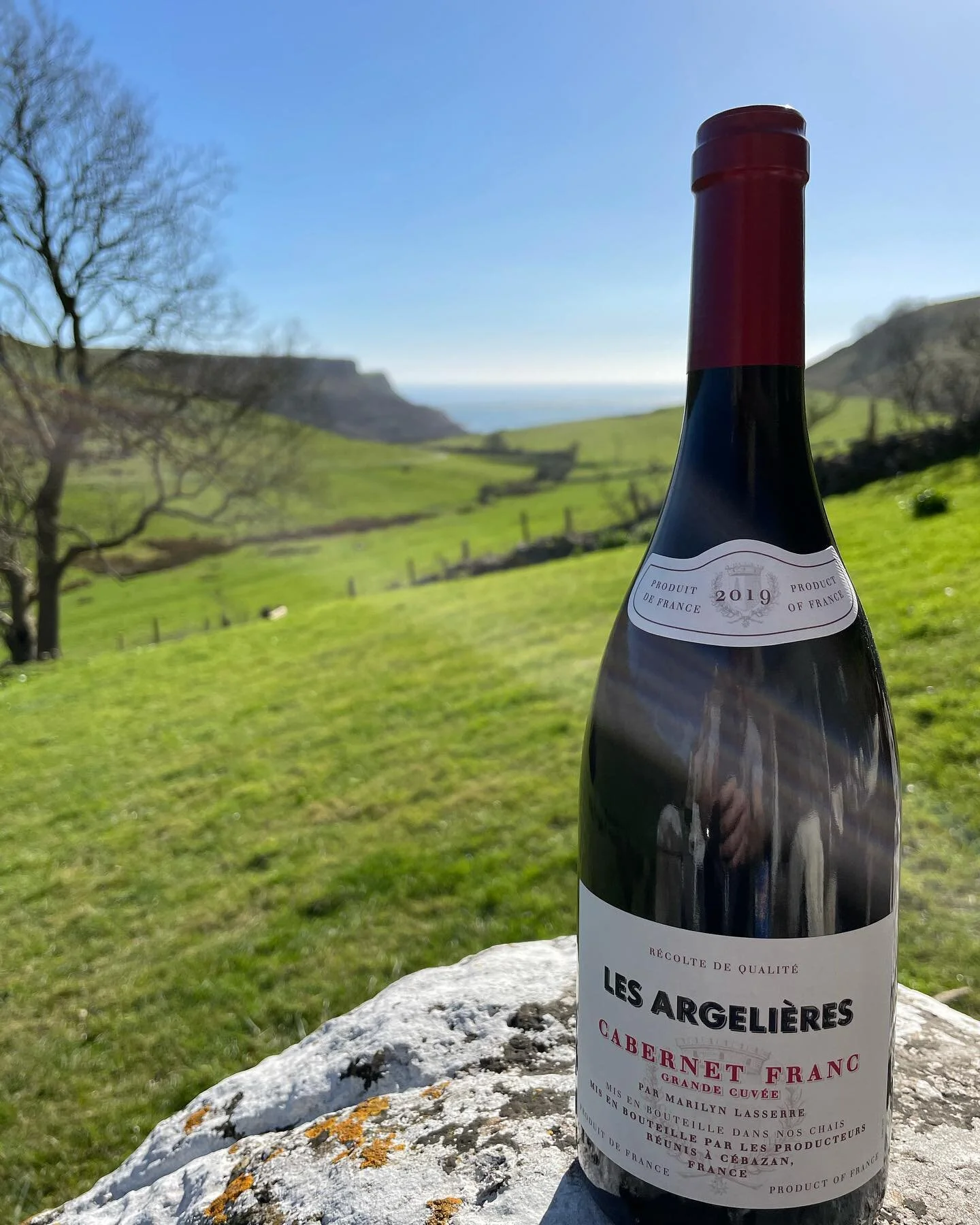 Spring is on its way.... and the Cabernet Franc from Les Argelieres is just a perfect companion to your lamb or chicken, and even the chocolate pudding you&rsquo;re not supposed to have! A real stunner of a wine.  Greatest wines from the greatest win