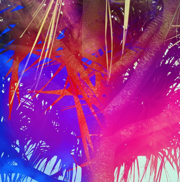 Tropical Abstract 1