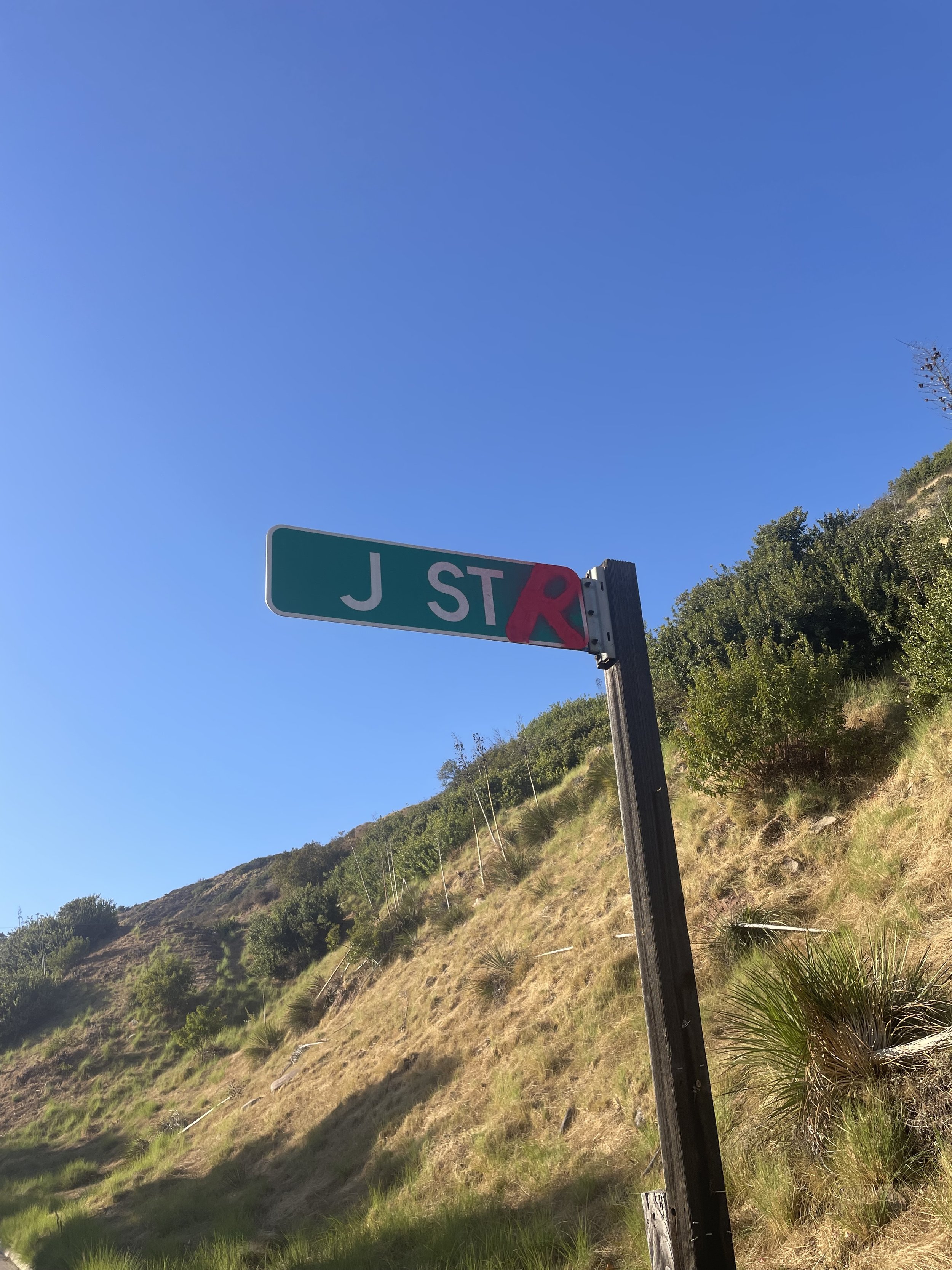 IMG_6523.jpeg