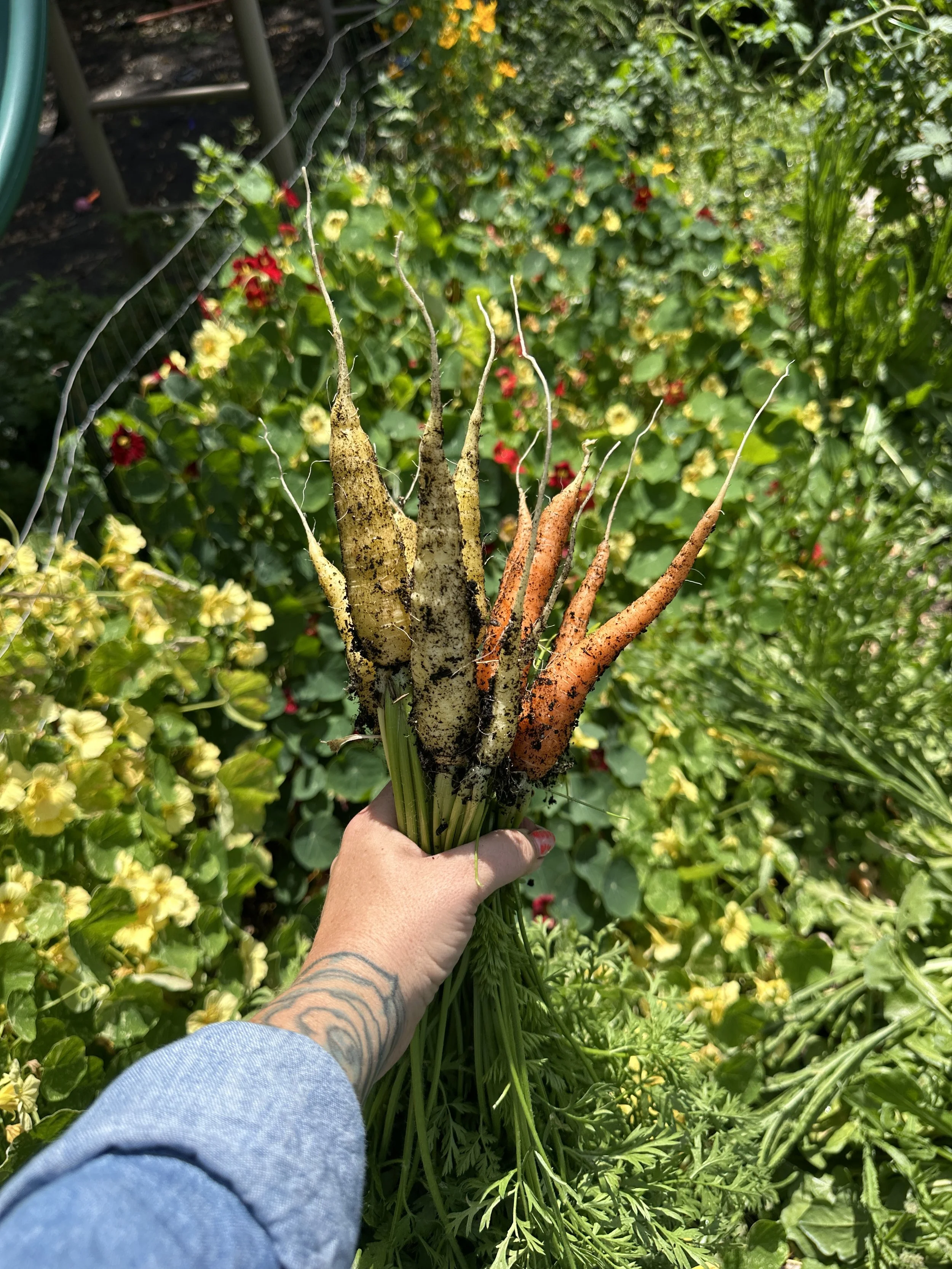 Finding Balance in 2025