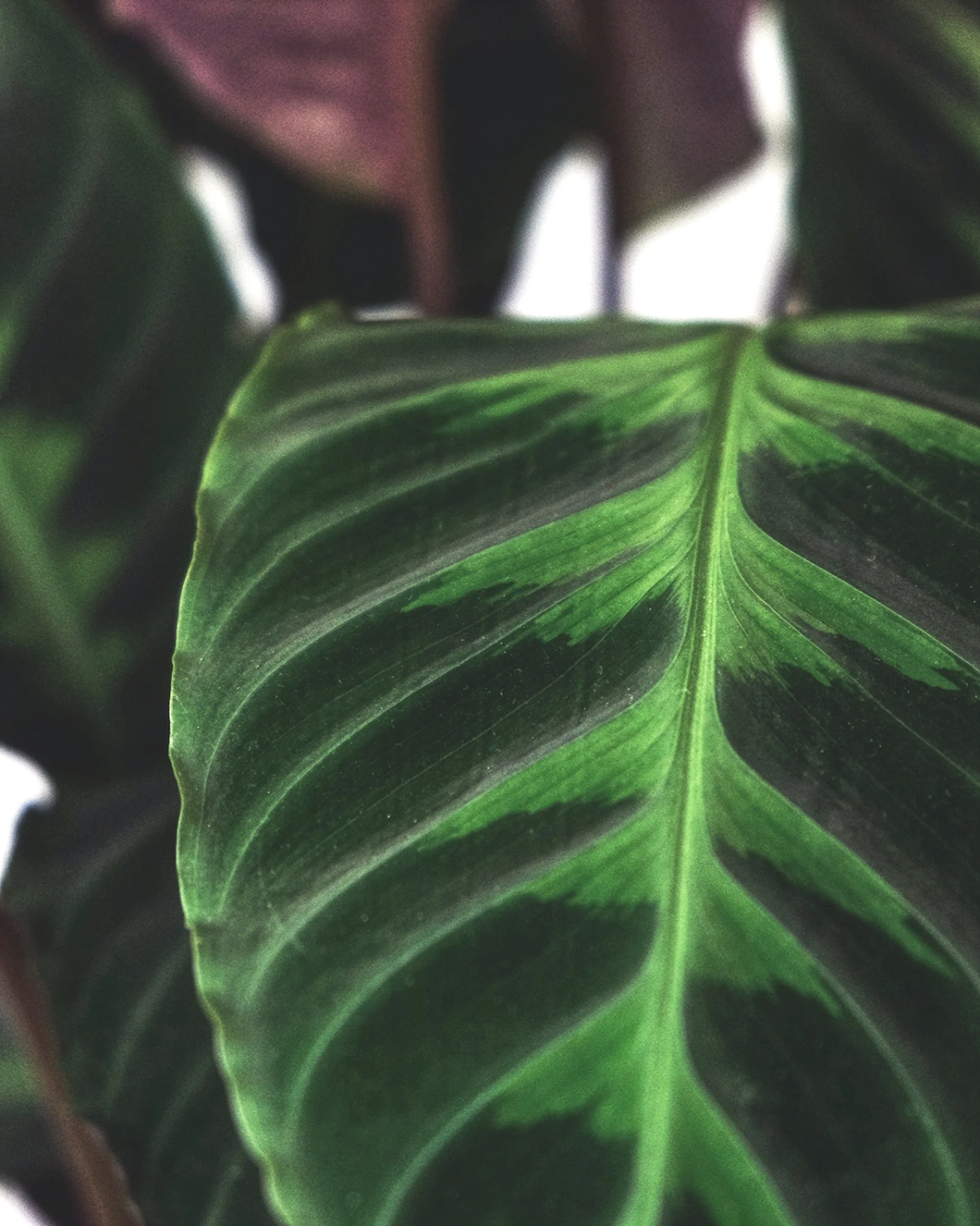unsplash-image-JUxhofGH9-c.jpg