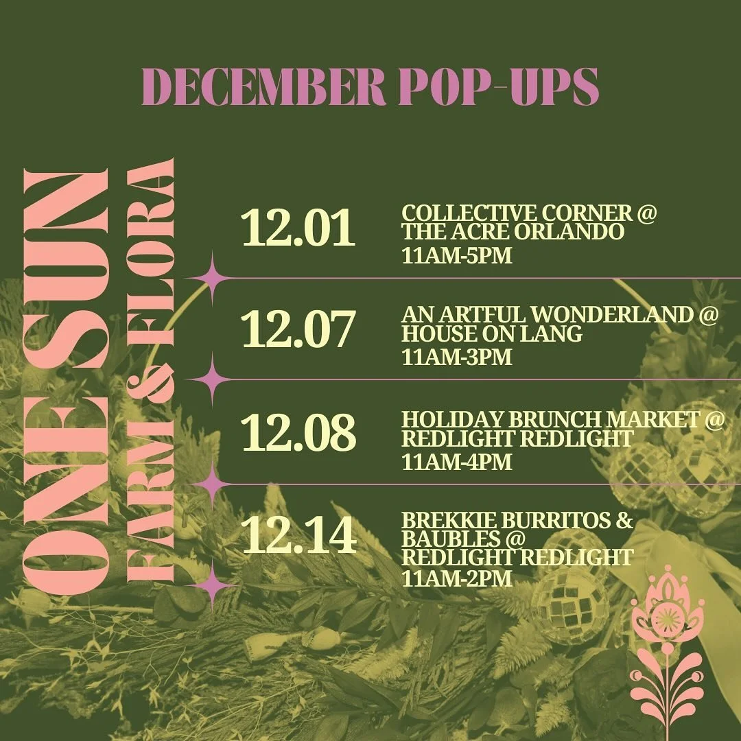 And just like that, it&rsquo;s December. I don&rsquo;t have words for how wonderful this year has been to our ever-evolving small business. I started off the year by making the choice to leave my part-time job in order to pursue ONE SUN and its growt