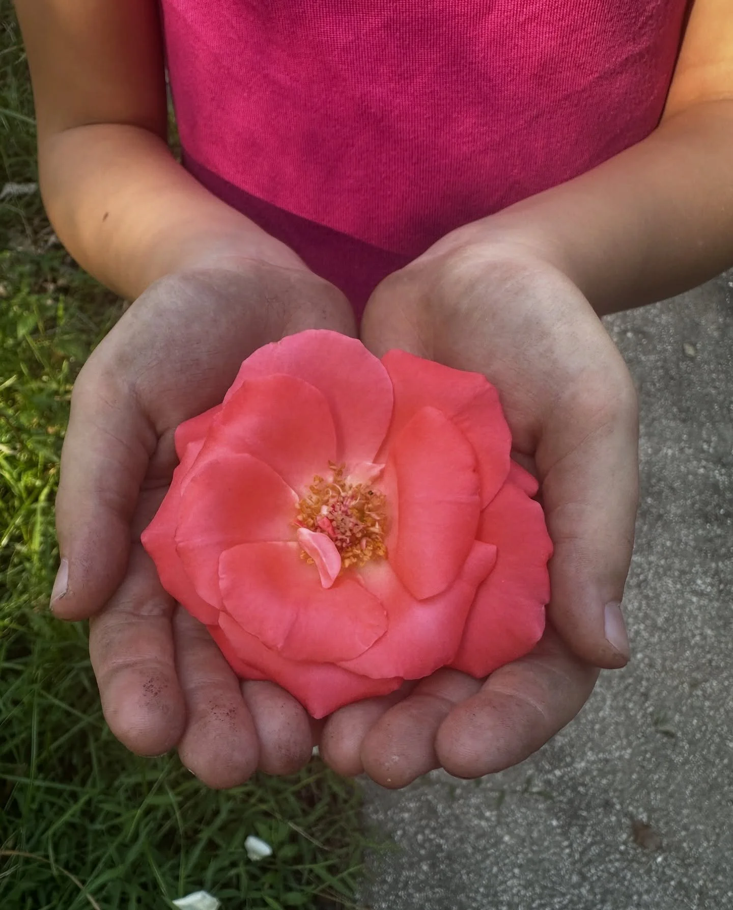 Too nice to be inside. Pressing flowers and making flower crowns out back today.