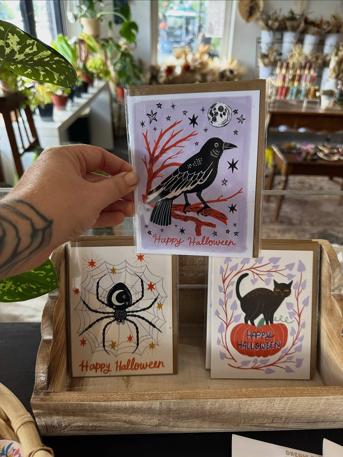 New fall finds at @pinkieorlando . I know the very real pull to buy new seasonal decorations this time of year as a means to achieve a dopamine boost. Trust me, I get it; the temps are still too warm, and the world is on fire, and you just need a qui