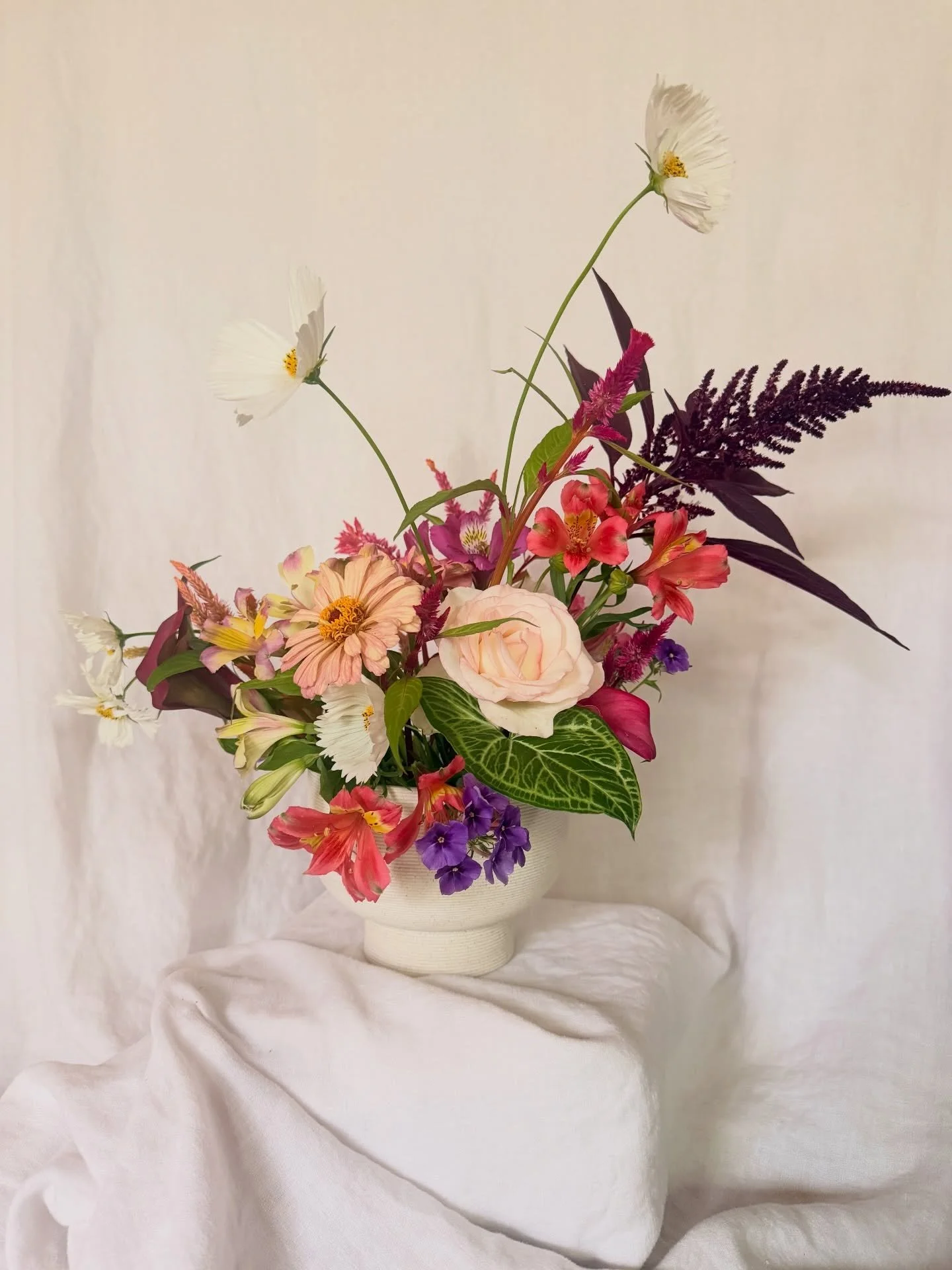Morning harvest 5.5.2026 

#flowerfarmer #florist #orlandoflorist #flowers