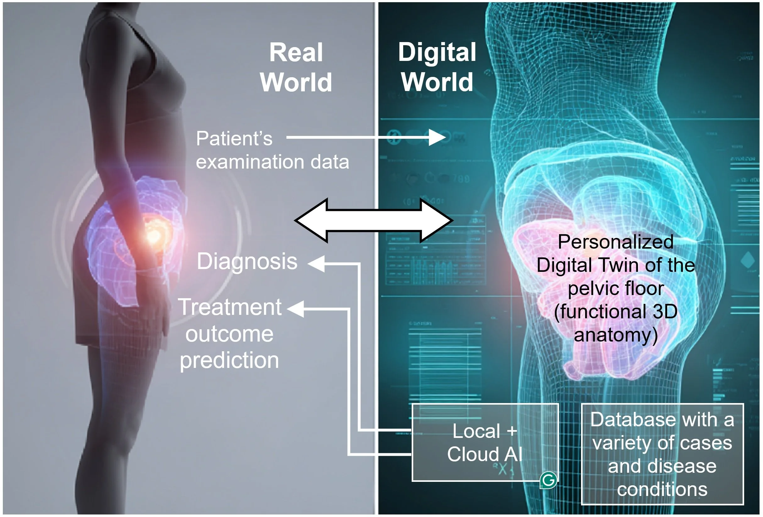 Comparison of real and digital pelvis models showing patient examination, diagnosis, treatment, and prediction data. The digital model includes a personalized 3D anatomy and a database of cases.