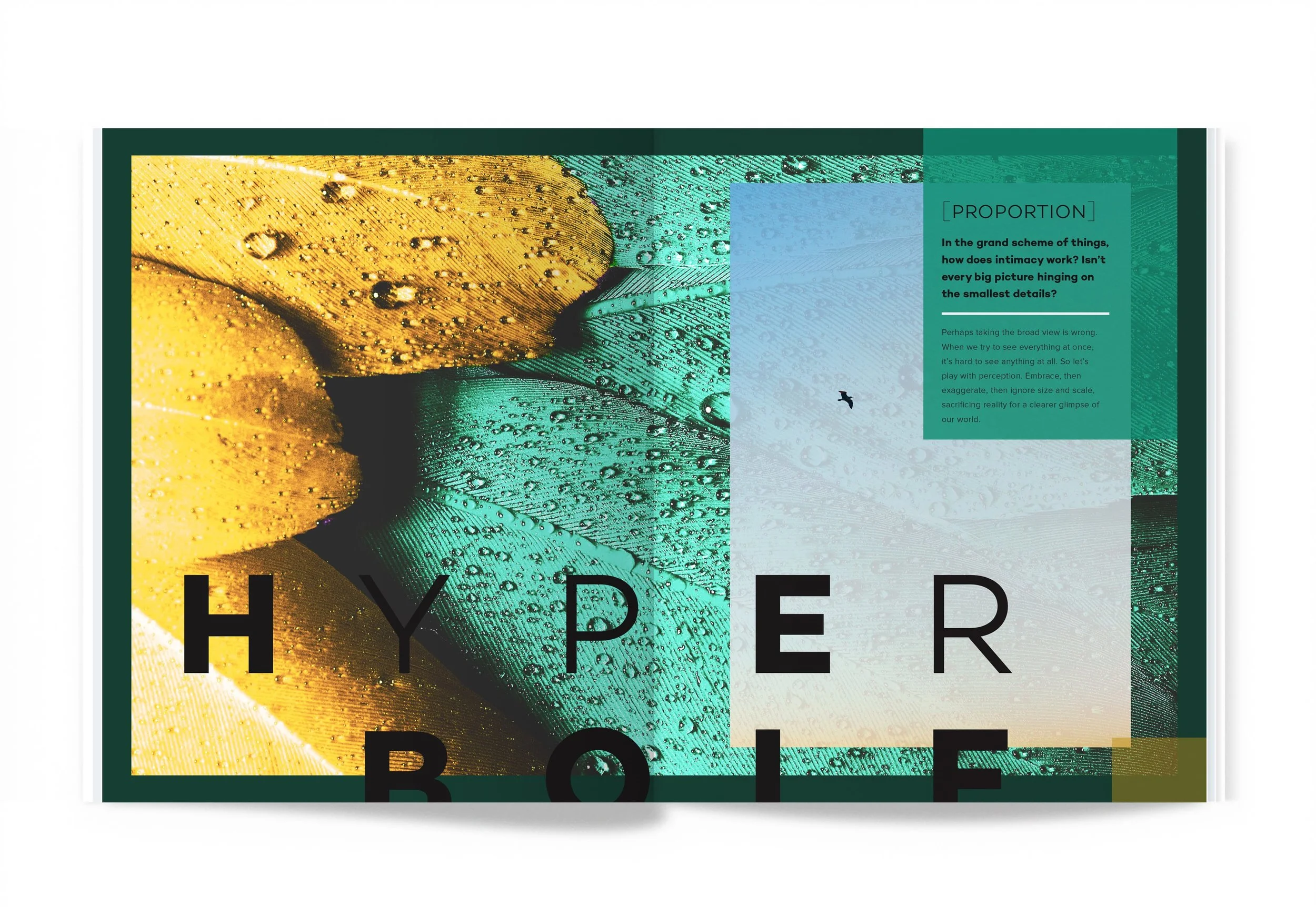 SHIFT-FeatherSpread-min.jpg