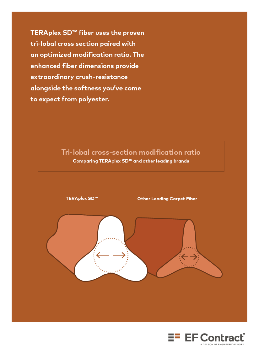TERAplex_Trifold Brochure_0117183.png