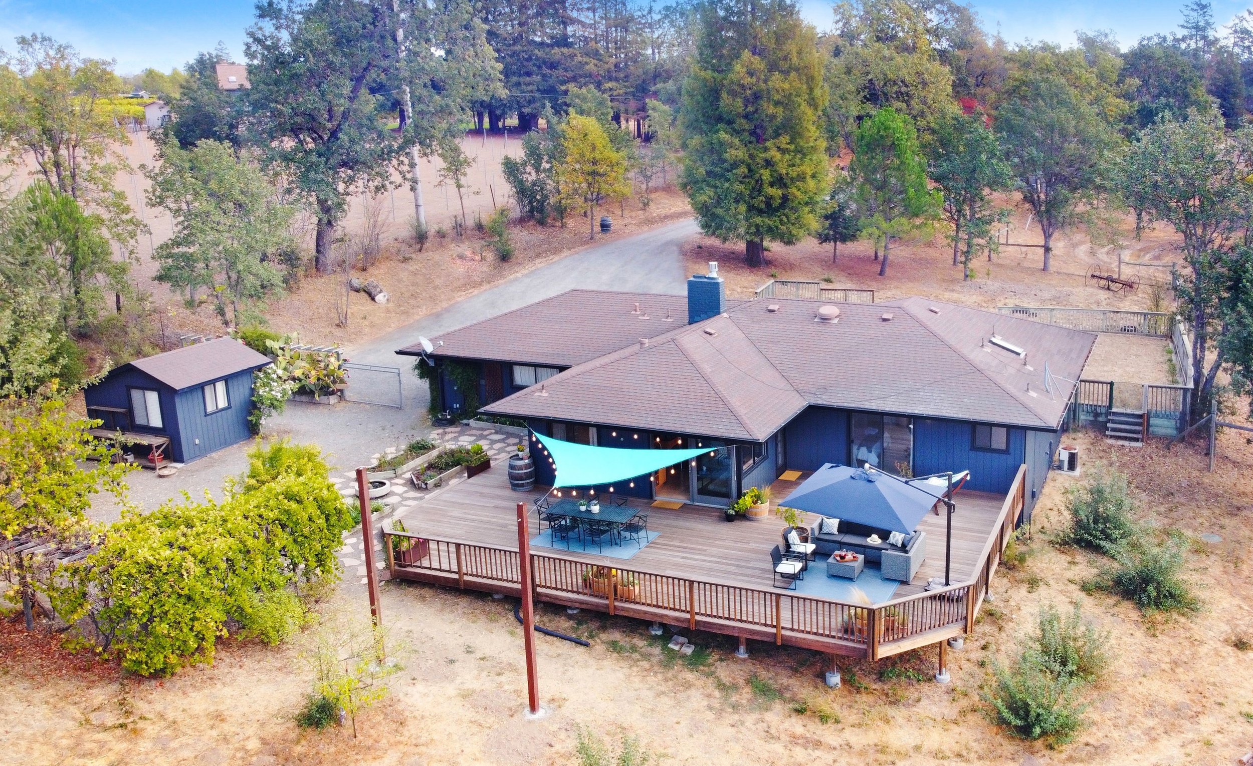 sue drone deck 1 cropped.jpeg