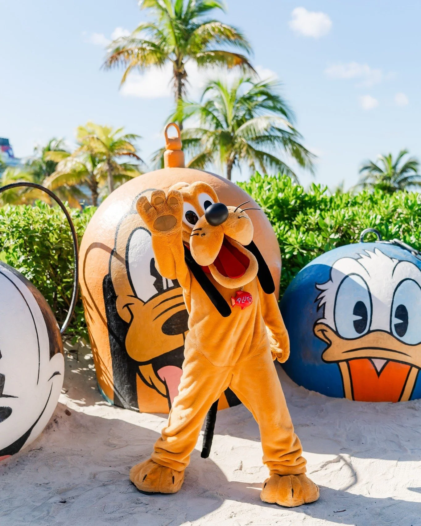 Last call for 50% off Disney Cruise Line deposits! 🚨

This promo ends Sunday, January 18, and it&rsquo;s one of the easiest ways to lock in a cruise with less upfront cost.

If a Disney Cruise has been on your wishlist, this is your sign to book now