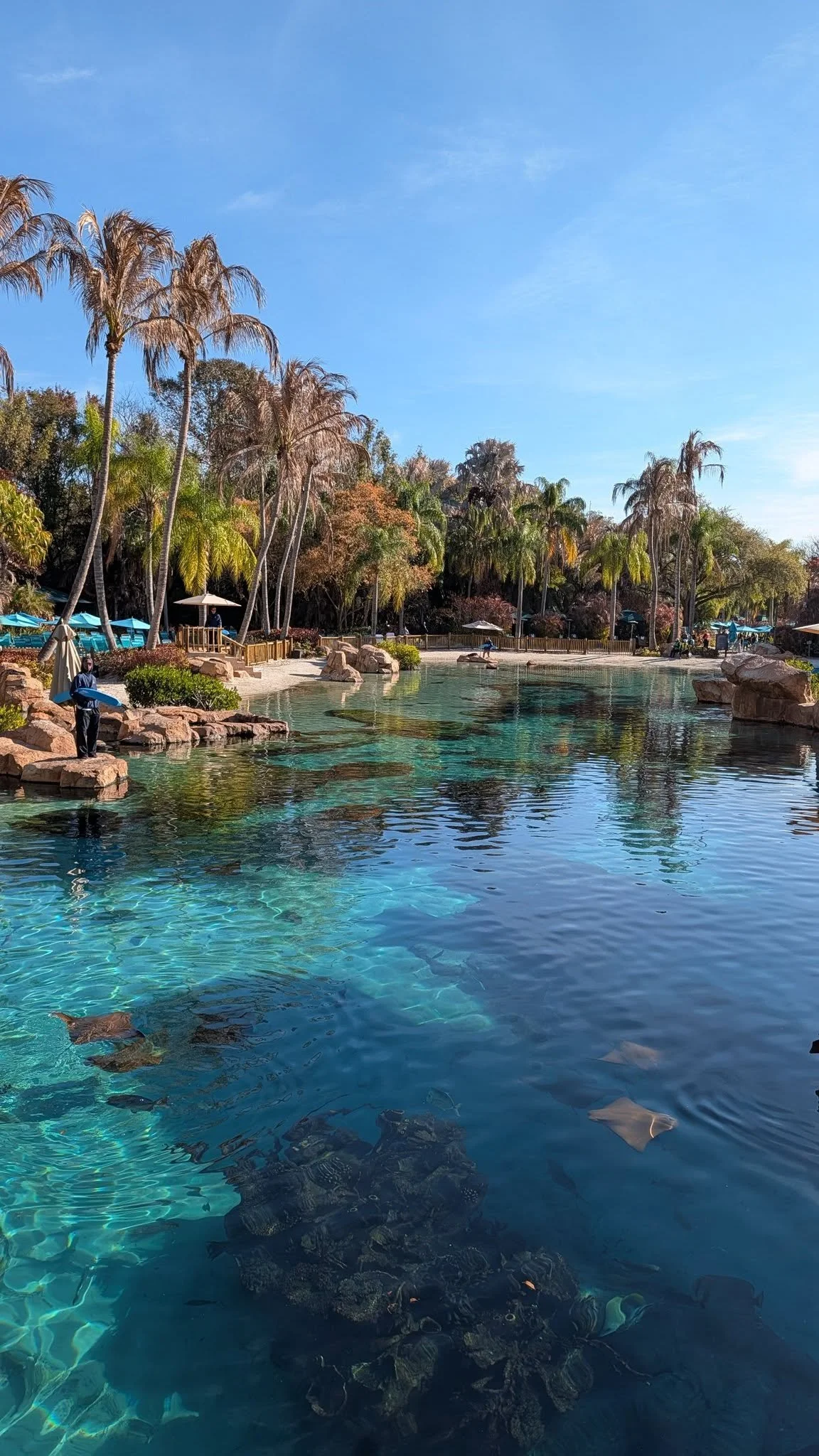 Swim, Snorkel, Relax - Who Will Love Discovery Cove (and Who Might Skip it)