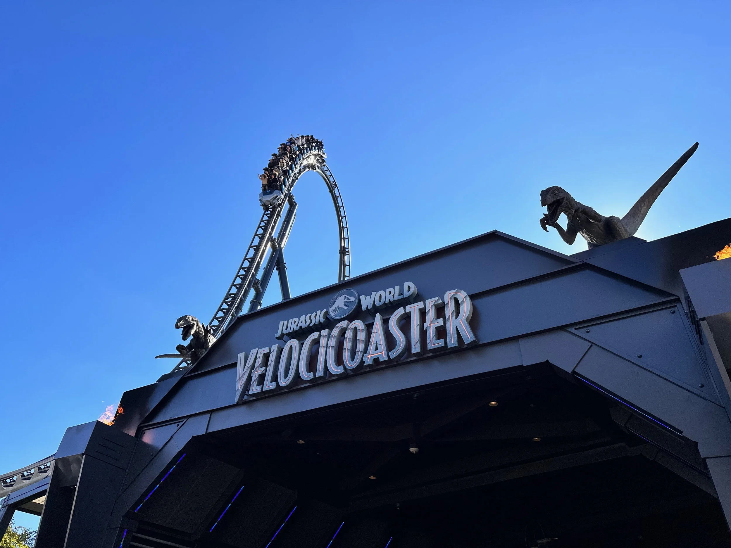 velocicoaster.jpeg