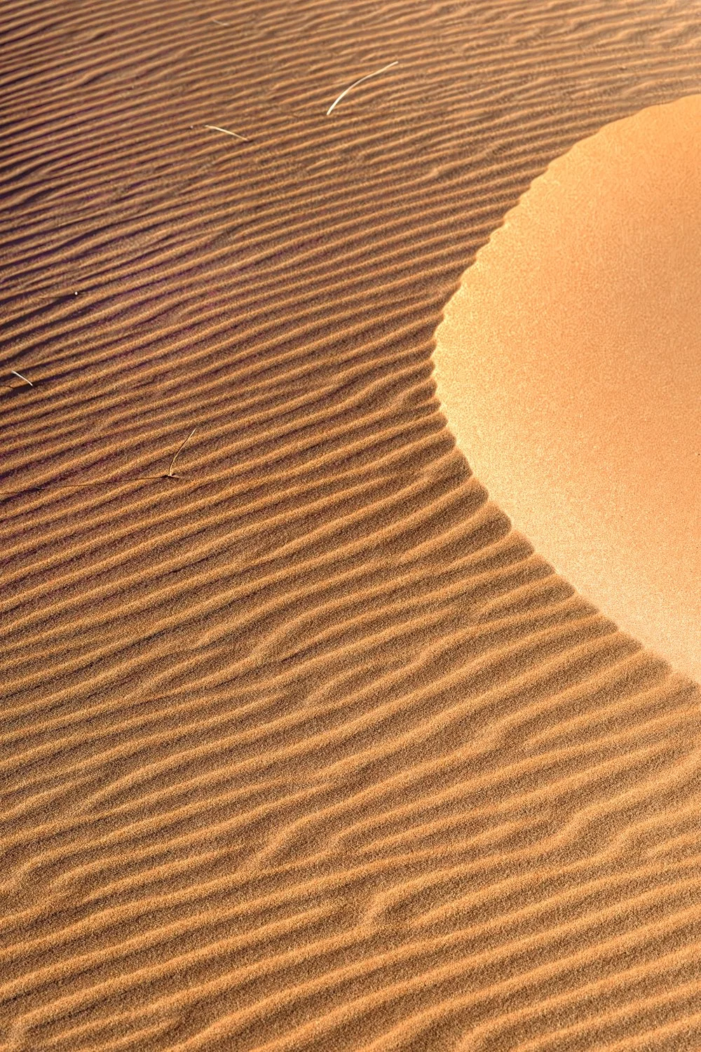 Merzouga - dunas de Erg Chebbi