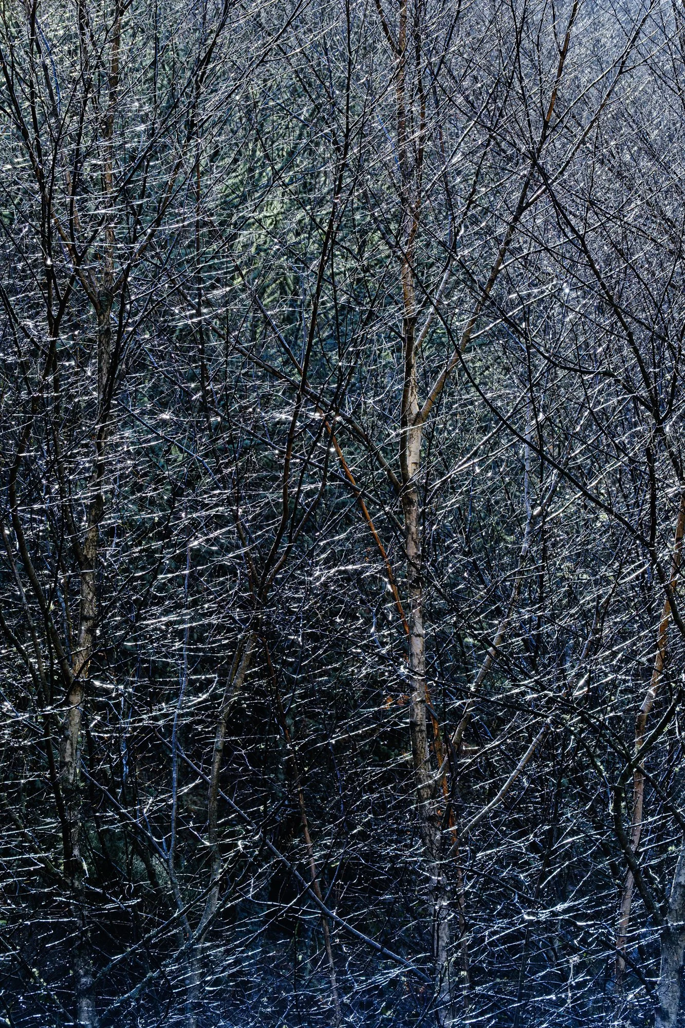 3 - Pitões das júnias