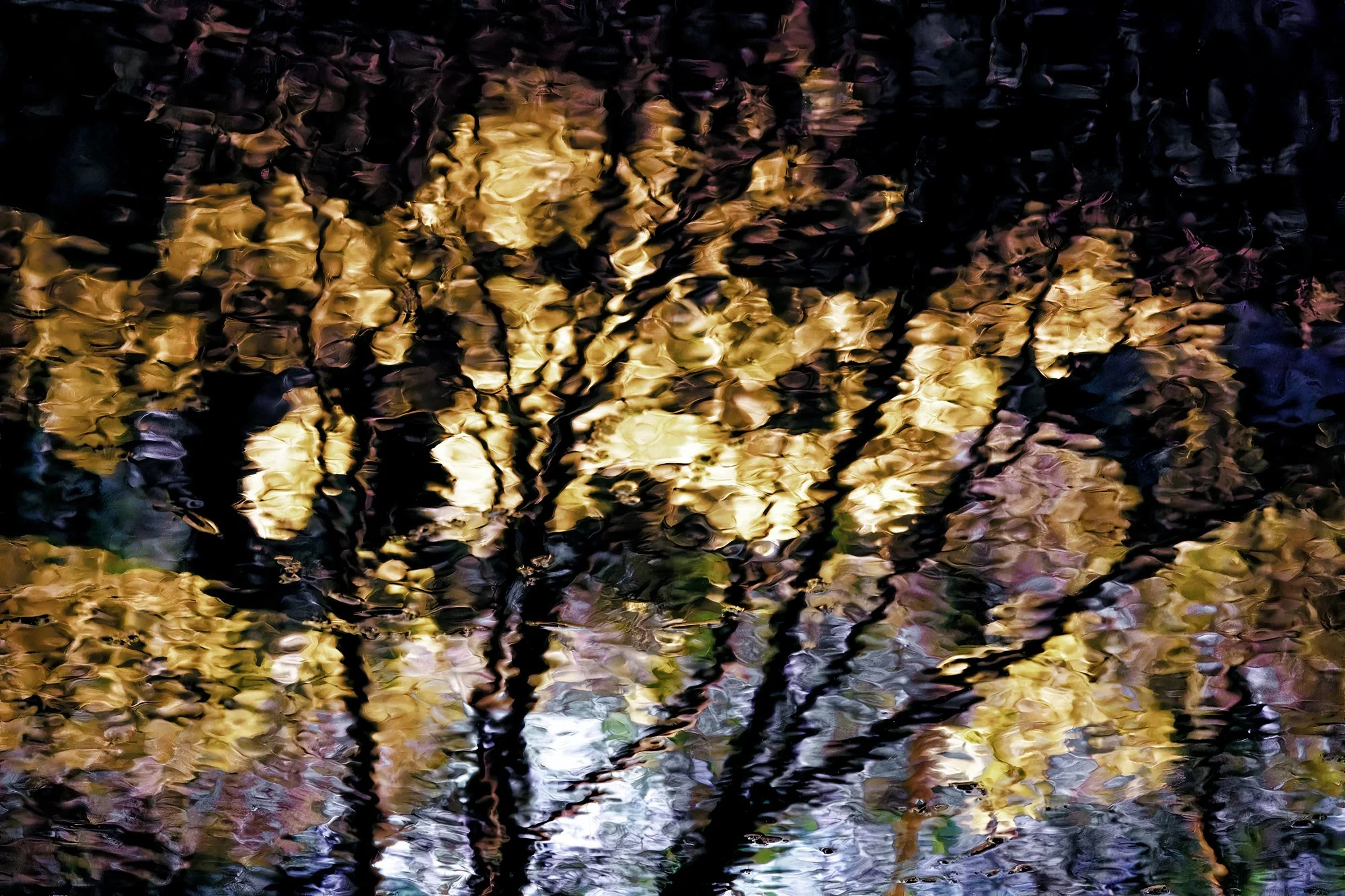 DSCF0317a.jpg