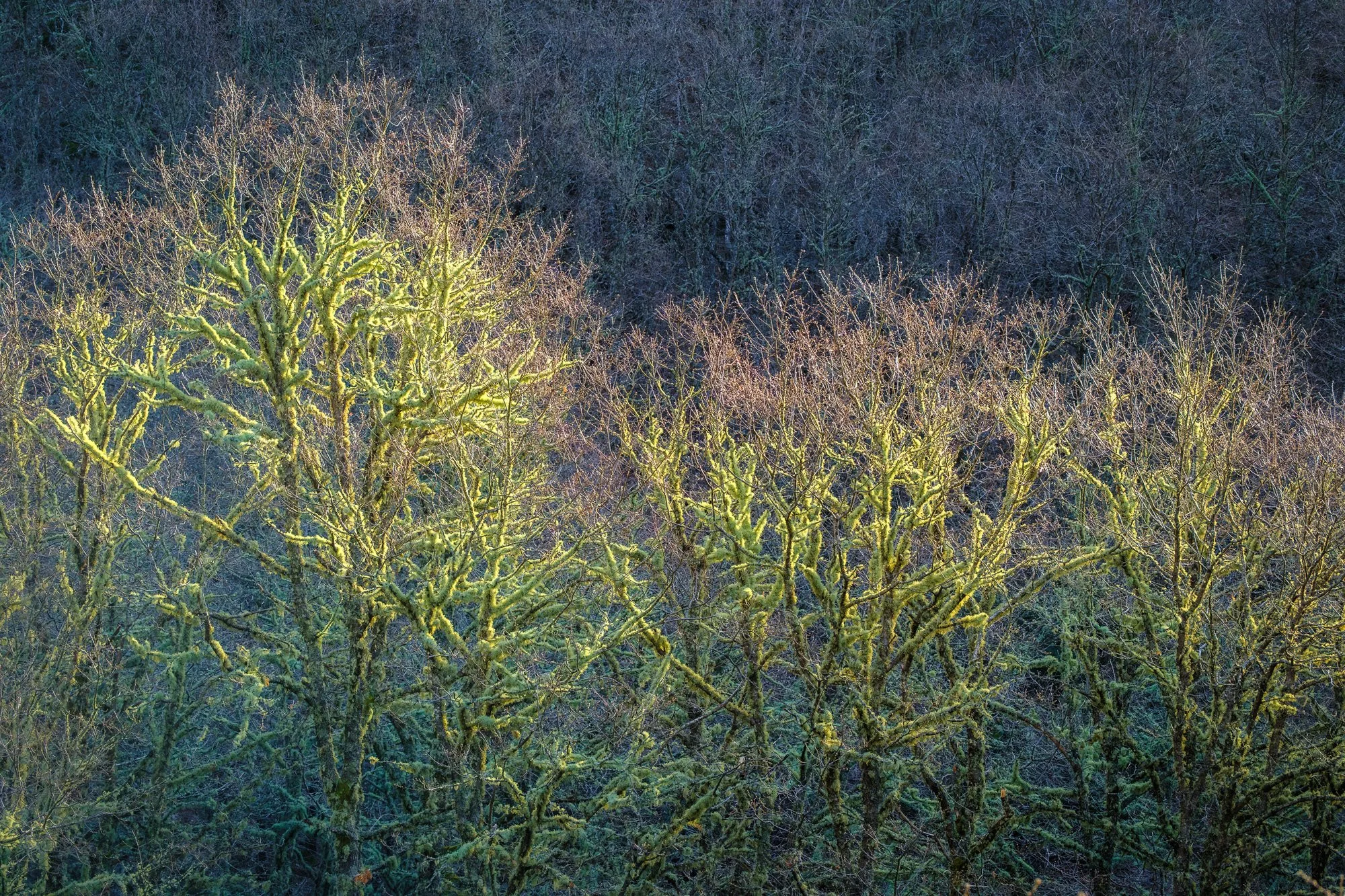 2 - Pitões das Junias