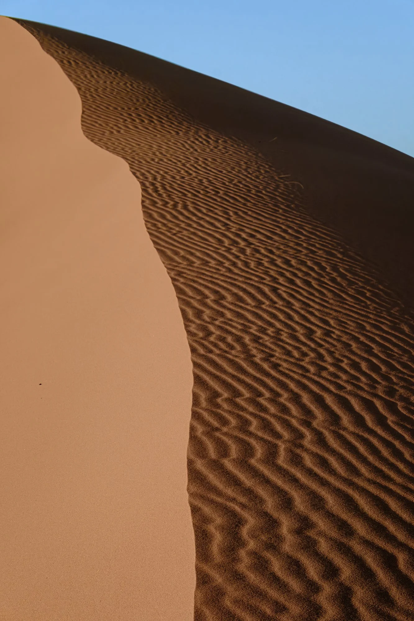 Merzouga - dunas de Erg Chebbi