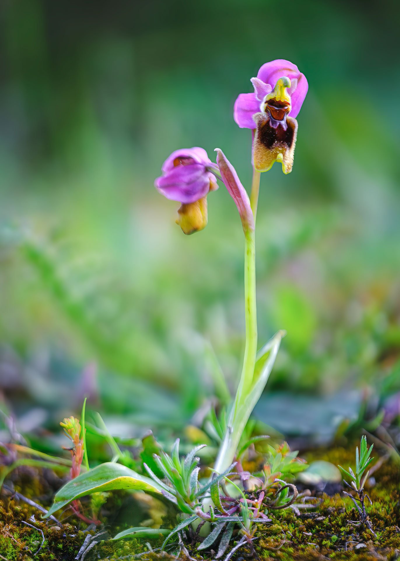 _DSF2920-Aprimorado-NR.jpeg