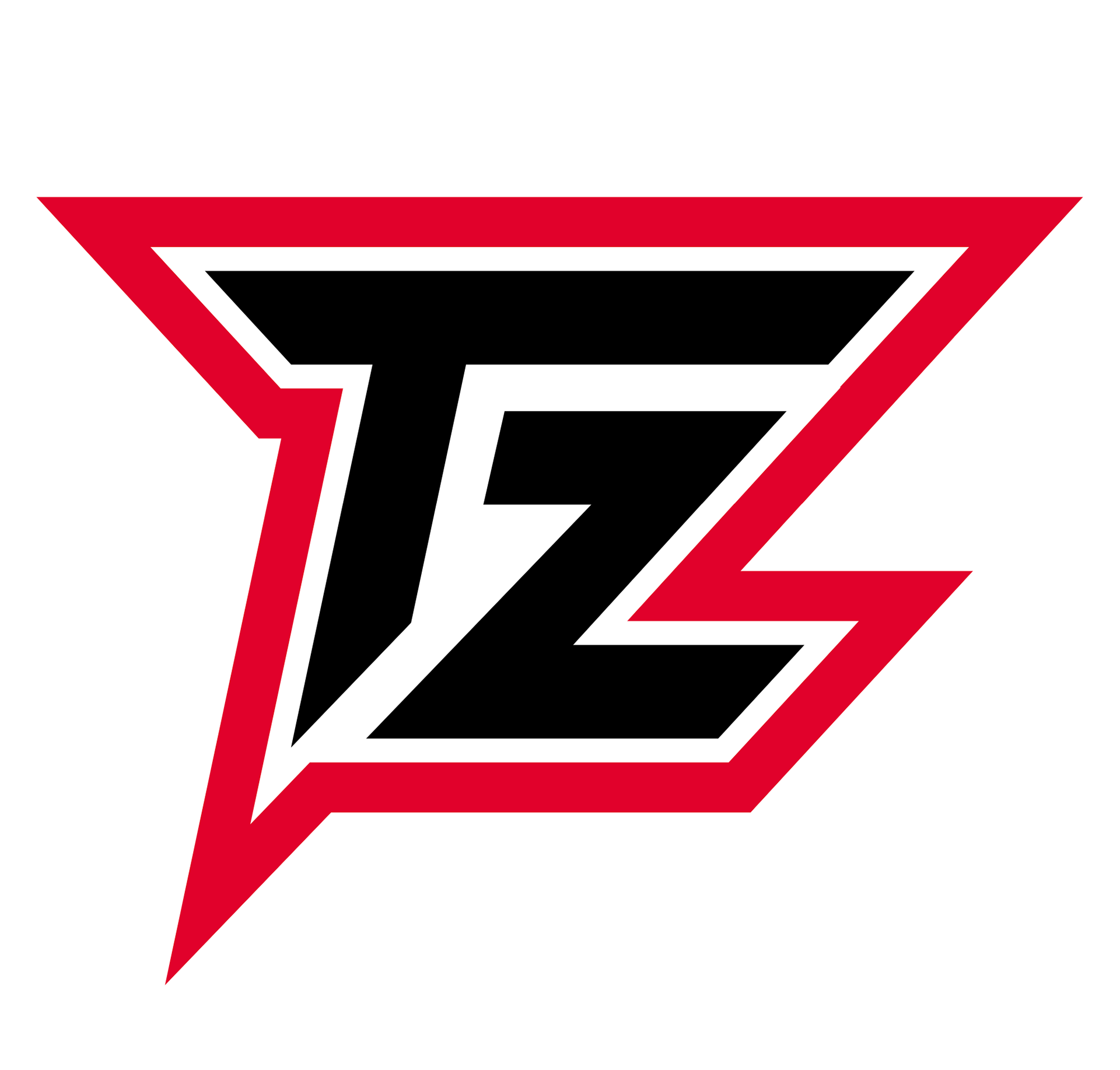 A stylized logo with a black and white checkered pattern, red outline, and a bold black letter 'Z' in the center.