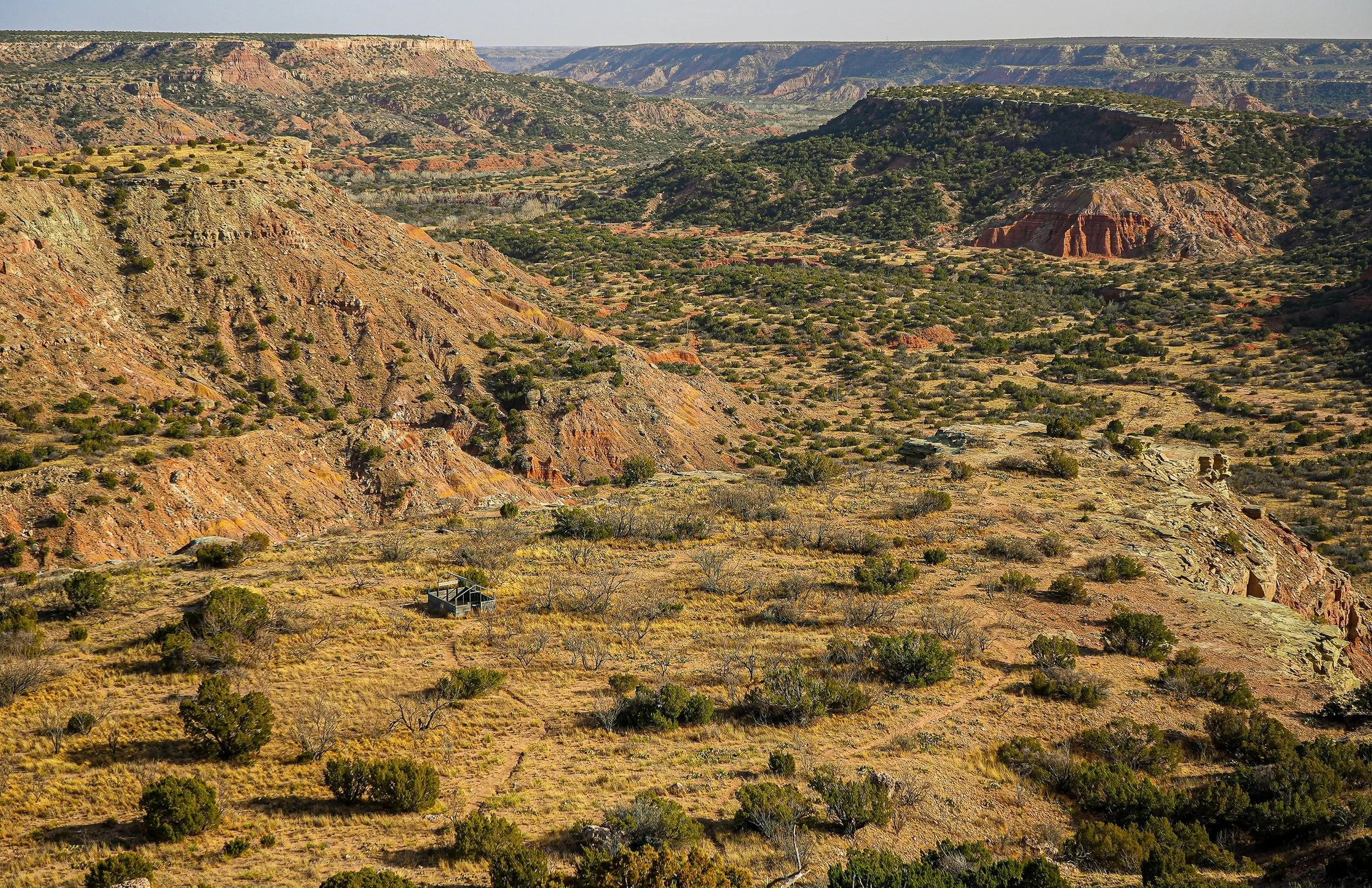 Palo Duro.jpg