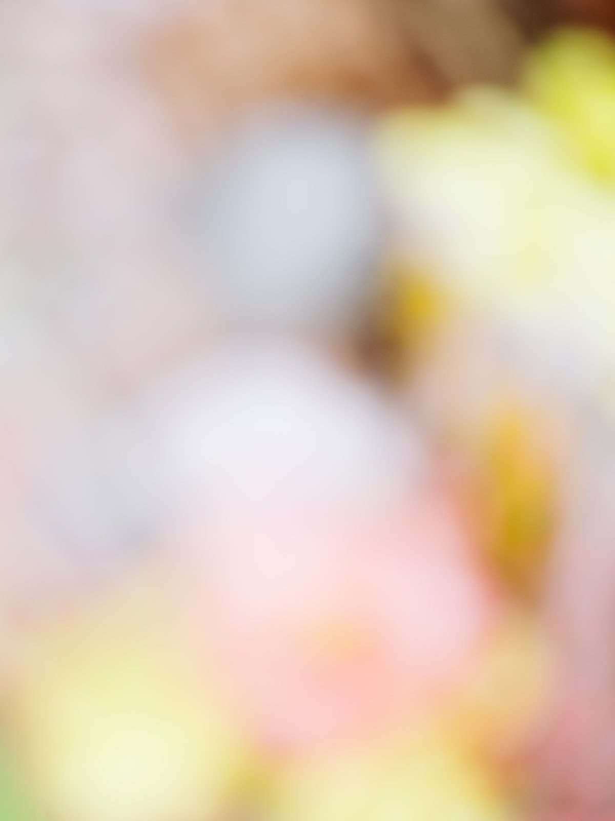 2026_Alcymi_AnneLutz-31_websize.jpg