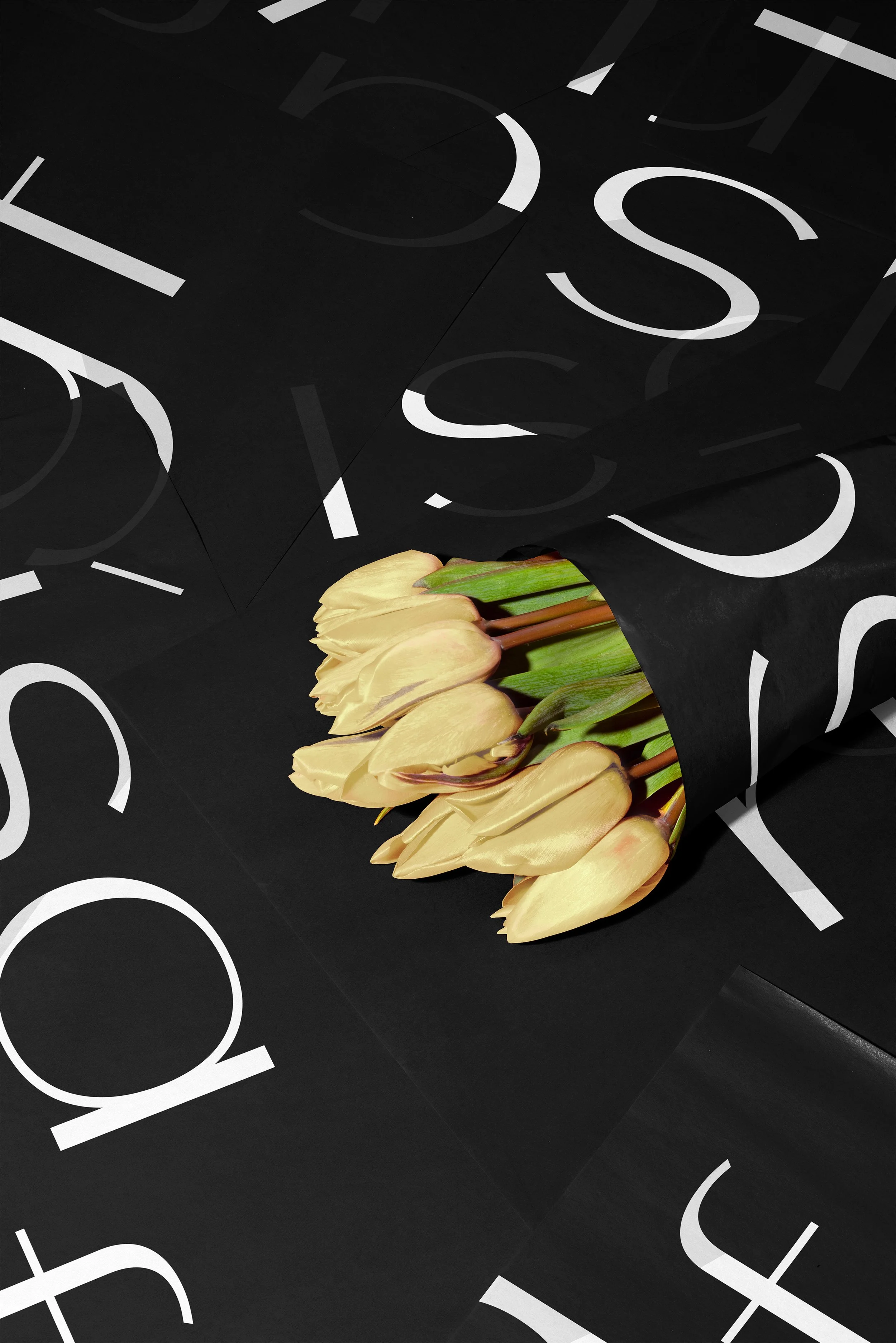 IsaRyf_Branding_Packaging_12.jpg