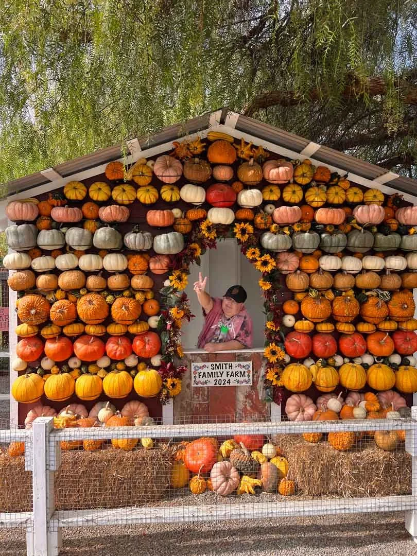 RES-CB-Pumpkin-Patch-01.jpg