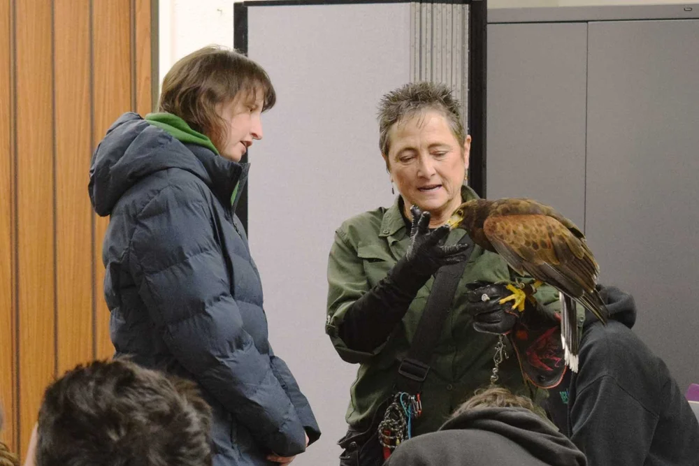 RES-CB-Falconry-22d.jpg
