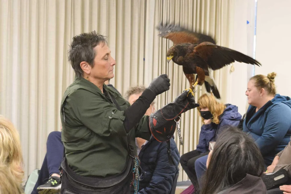 RES-CB-Falconry-25.jpg