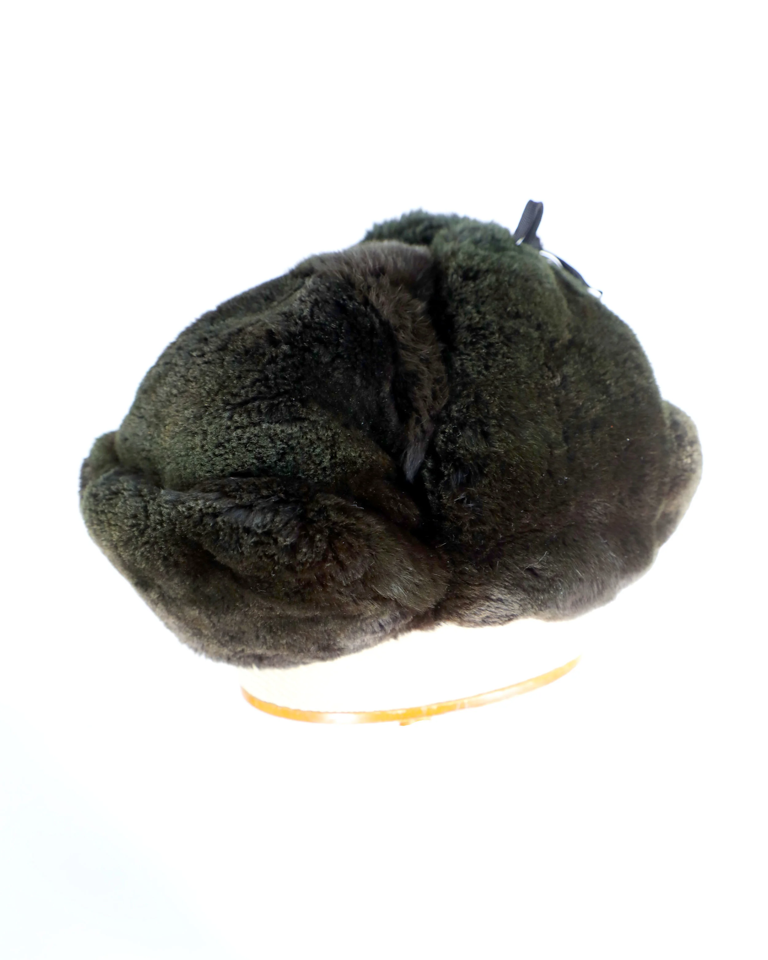 French Rex Rabbit Trooper 