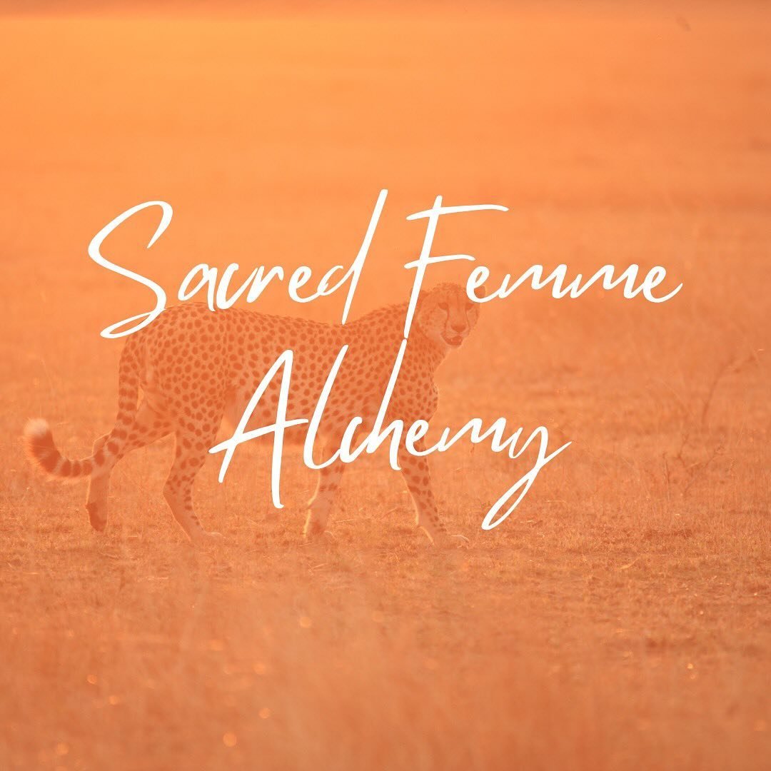 Hey Beautiful souls!!! 

This month when you sign up for the 🐆 Sacred Femme Alchemy membership waitlist you get free access to all our online 💻 events for the month of May.

This month we are focusing on Healing ❤️&zwj;🩹 our inner feminine.

This 