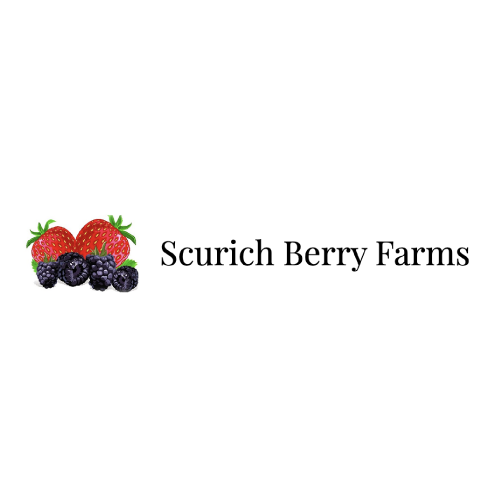 Scurich-Berry-Farms---Logo.png