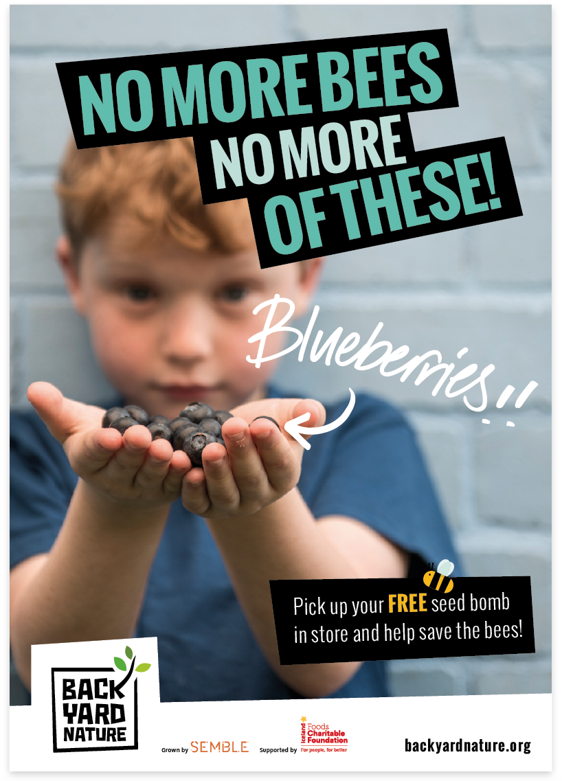 poster 2.png