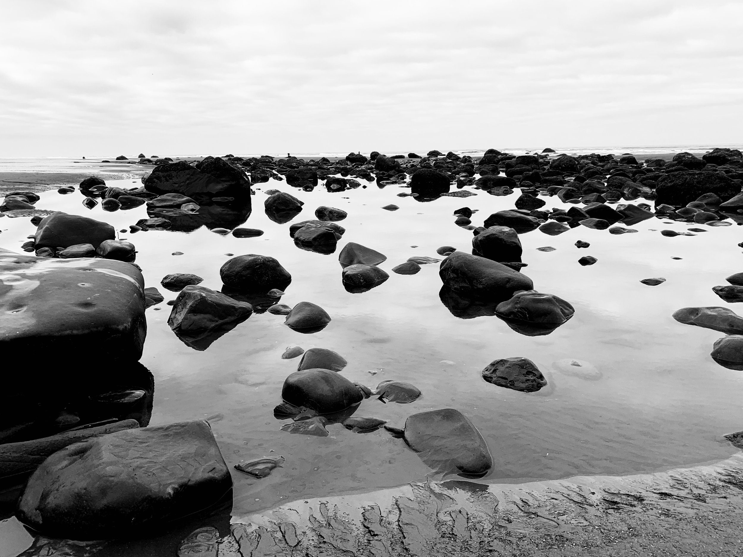 Kalaloch Beach, Wash.