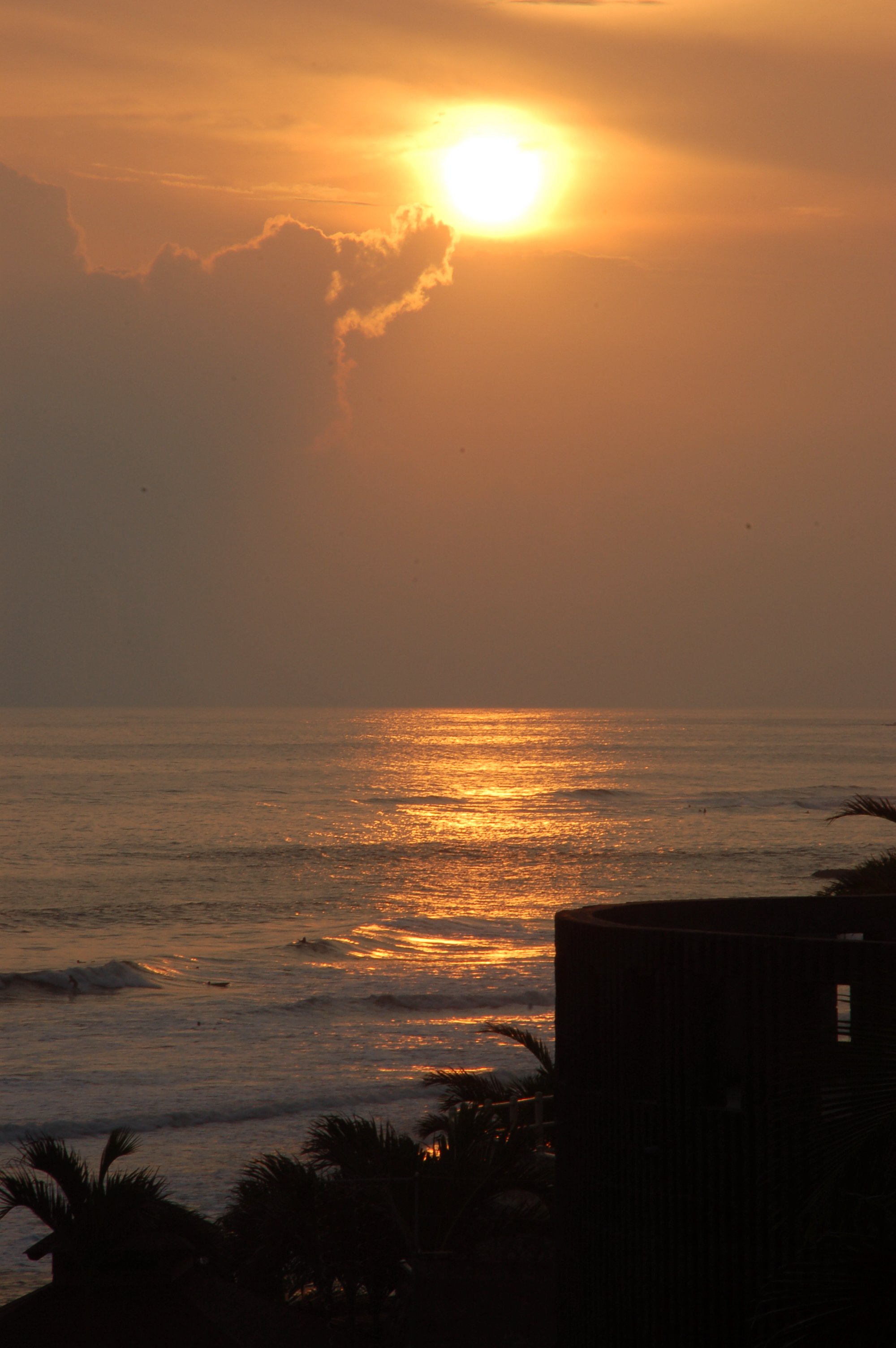 DSC_0339.jpeg