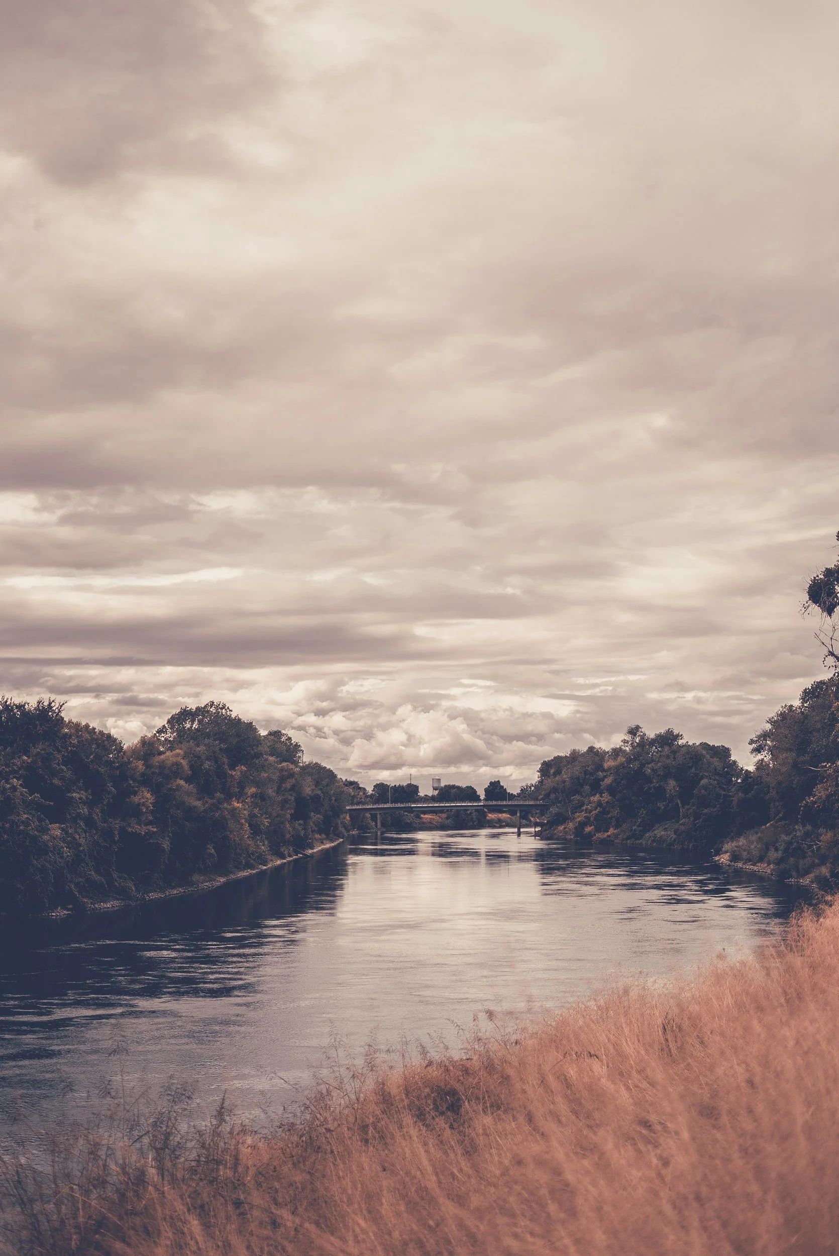 A calm river flowing through a landscape with trees along its banks and a cloudy sky overhead.