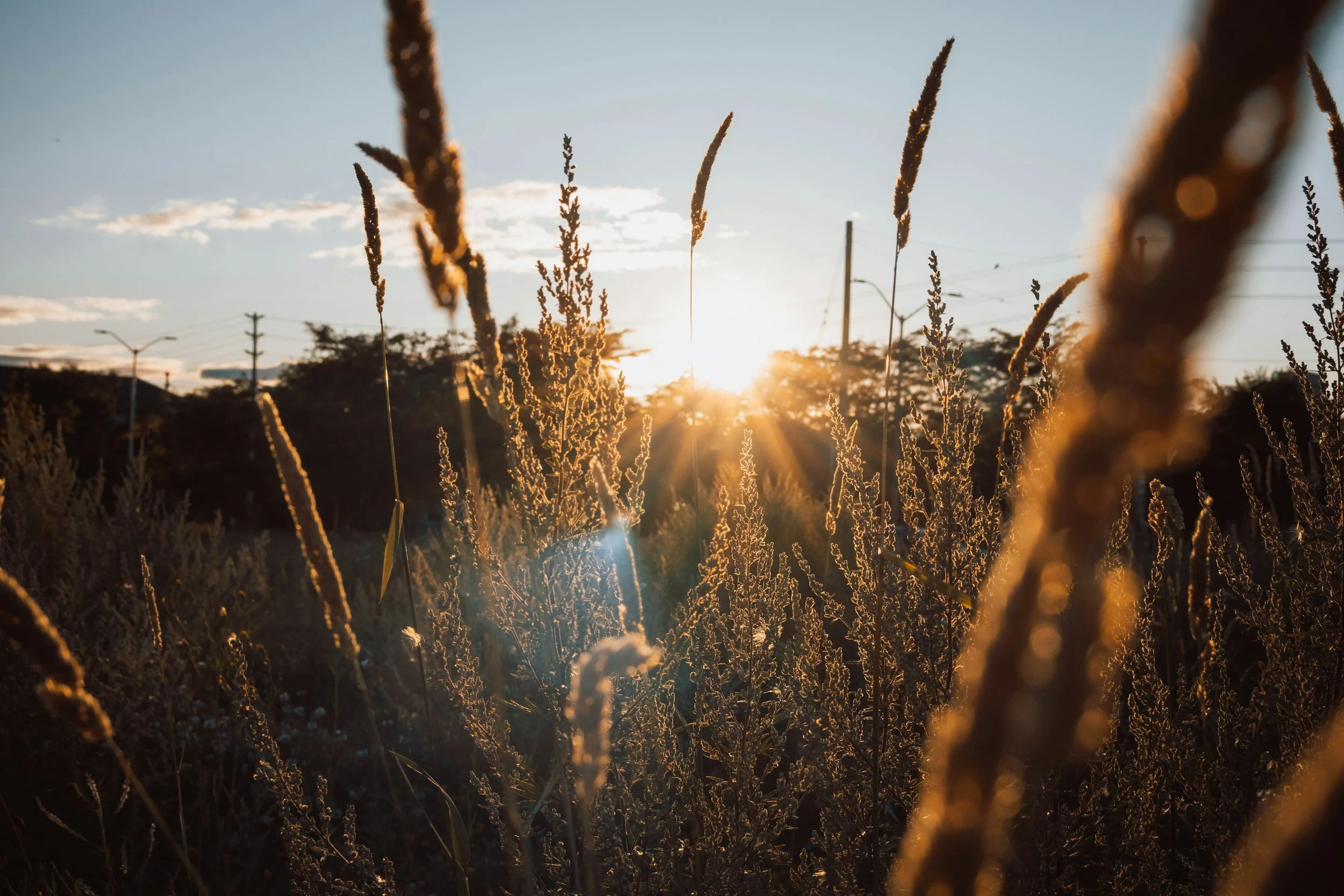 What Therapy Is Like: What to Expect