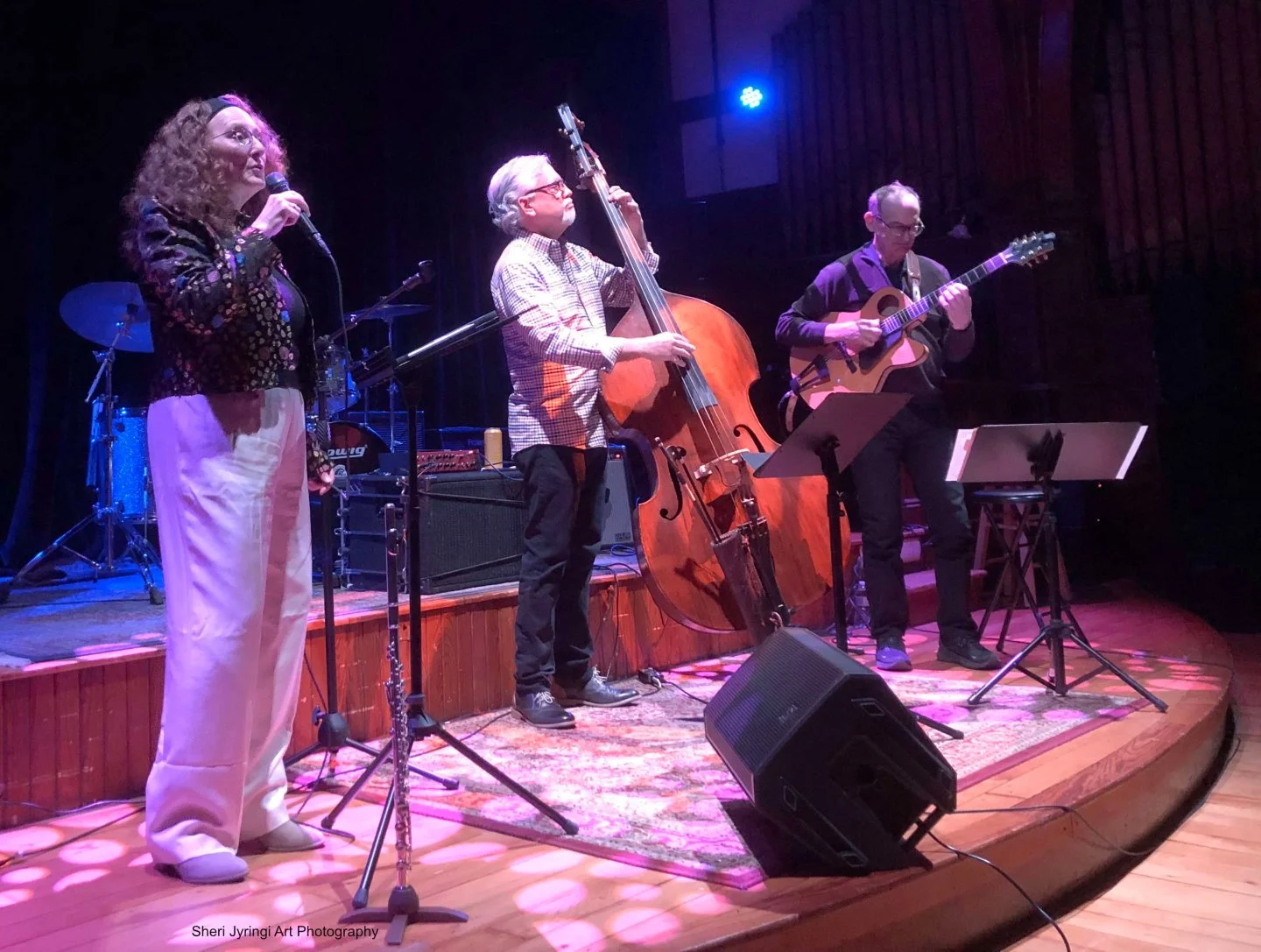 This Friday! Sept 5th from 5-8PM don&rsquo;t miss Sarah Clay and the StarCats at the Dowd Agencies performance stage!
Vocalist and flutist Sarah Clay leads her jazz trio the StarCats, playing Swing, Blues, Latin Jazz &amp; Retro-Pop. Smooth &amp; sul
